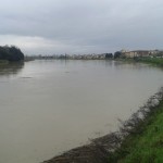 Arno