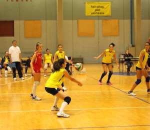 Volleyfemminileazione