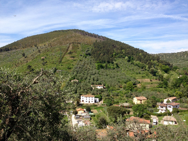 Monte Castellare Piedi_in_Cammino
