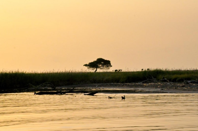 Tramonto-Tenuta-di-San-Rossore---Foto-di-Enrico-Lippi