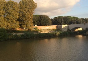 arno_vivo